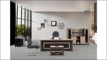 Luxury office furniture set